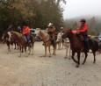 buffalohorsemen buffalohorsemen