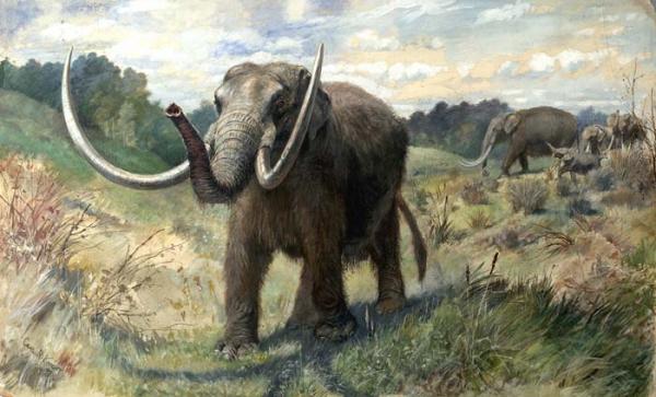 mastadon mastadon