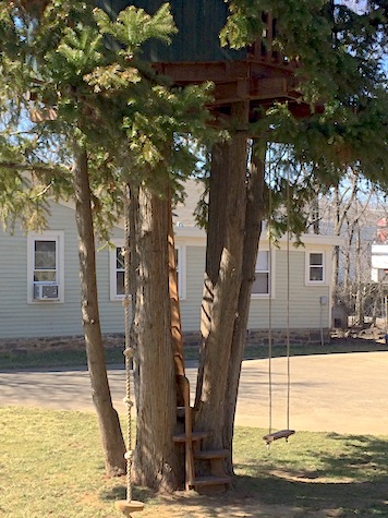 treehouse treehouse